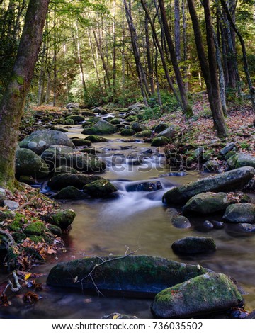Hiking in the Great Smoky Mountains National Park
