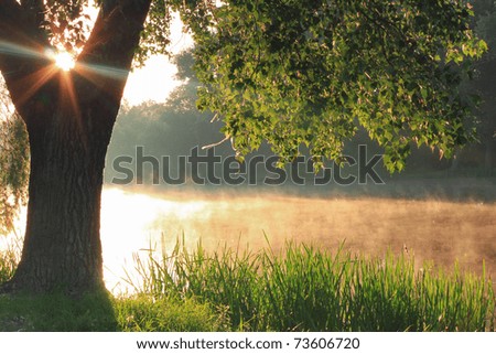 Misty dawn at the lake Royalty-Free Stock Photo #73606720