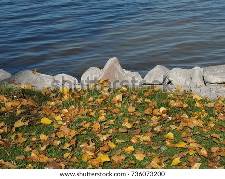 Autumn in the lake
