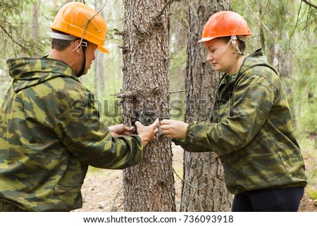Foresters install photo traps on a tree for automatic photographing or video shooting of wildlife in the forest.