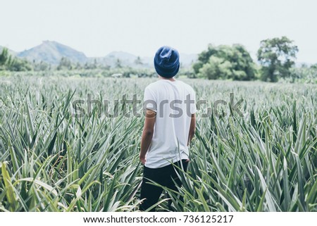 Rear view of a young man wearing blue beanie, white shirt and black pants in the middle of the pineapple field. Toned picture. Royalty-Free Stock Photo #736125217