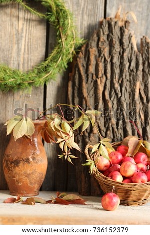Autumn composition with mini red apples in vintage wicker basket, plant un aged pot on bark background, vertical photo, daylight