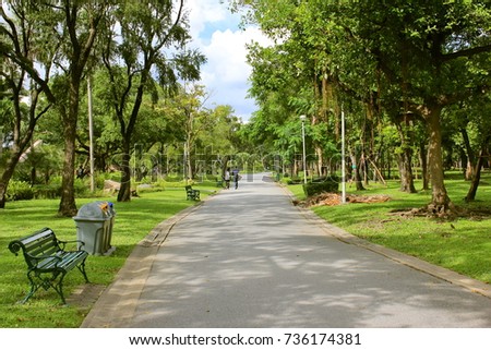  The power of light and shadow,Nature background in the garden,The perfect combination of nature,Tree nature background,Holidays in Bangkok public park Royalty-Free Stock Photo #736174381