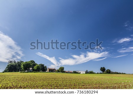 a small traditional farming village along the camino de santiago with a corn field on the foreground a blue sky in galicia, northern spain