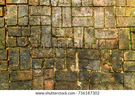 Brick ground pattern in the garden pavement