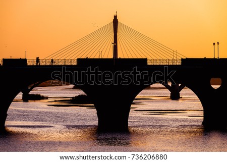 silhouette of badajoz bridges at sunset. Extremadura, Spain