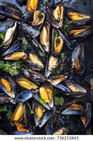 Traditional barbecue Italian blue mussel in white wine as top view on a tray Royalty-Free Stock Photo #736213843