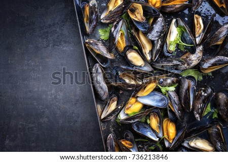 Traditional barbecue Italian blue mussel in white wine as top view in a tray with copy space left Royalty-Free Stock Photo #736213846