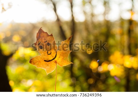 Yellow maple leaf, autumn concept