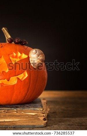Halloween pumpkin and a book of spells. Carved pumpkin. Magic books. Traditional holiday
