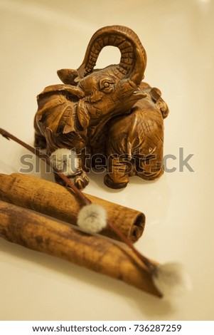 Cinnamon, willow and elephant. Souvenir