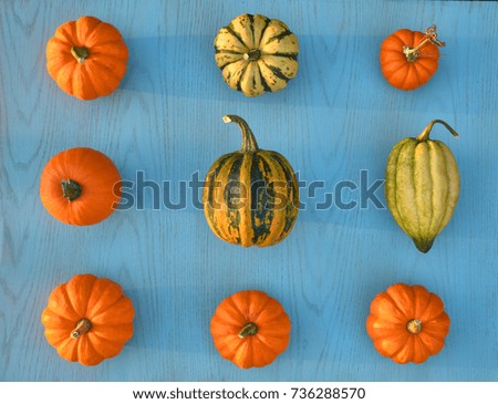 Little pumpkins on blue wooden background