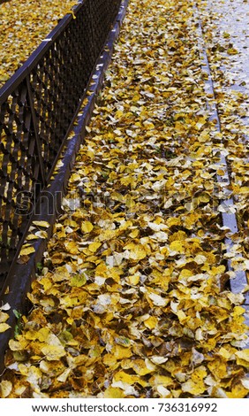 iron bars , autumn background
