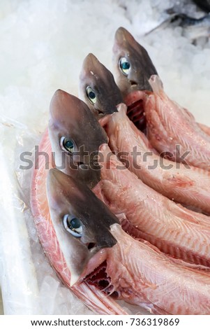Galeus or Mustelus spp sharks on the counter at the greek fish market. Vertical. Close-up.