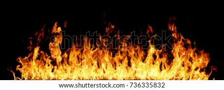 Fire flames on black background. Royalty-Free Stock Photo #736335832