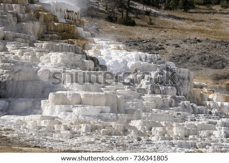 Mammoth Hot Spring Travertine Terrace in Yellowstone National Park