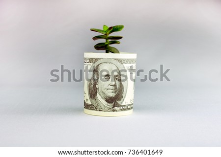  Personal saving, green plant of money,  supplementary pension concept closeup selective focus