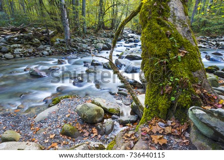 Smooth flowing water falling over rocks downstream in forested environment landscape scene