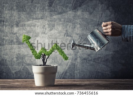 Hand of man watering small plant in pot shaped like growing graph