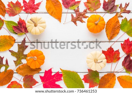 Autumn frame composition of colorful leaves and pumpkins. Top view.
