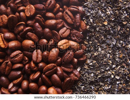 Dried laminaria and coffee seeds. Anticellulite spa ingredients.
