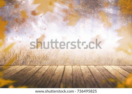 Image of autumn scenery. You can use this picture for your background