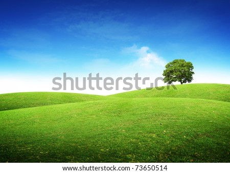 Green summer landscape scenic view. Royalty-Free Stock Photo #73650514