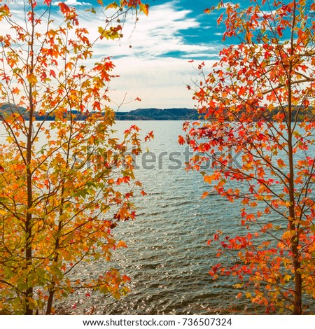 View of lake through beautiful autumn maple trees.