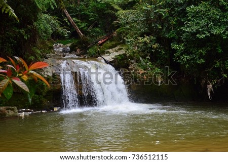 tropical waterfall on river in asian jungle, rainforest. small branch is foreground. forest lake is tourist place. paradise landscape of water stream in mountain. natural colors as in a fairy tale