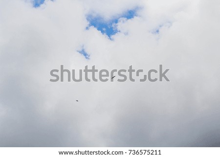 Clouds and sky, two birds.