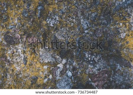 close-up view of grey stone with moss texture