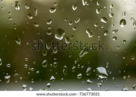 Very dark green marshy bright color window glass with drops of water on it: concept of autumn spleen 