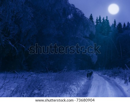 Winter night in the forest (with a lonely wolf on the road and moon in the sky)