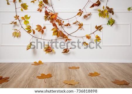 Autumn leaves on white wall background Royalty-Free Stock Photo #736818898