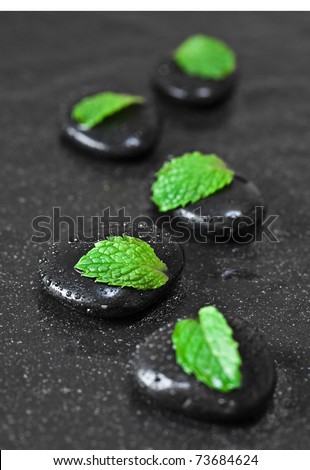 Leafs on wet black pebbles. SPA concept.
