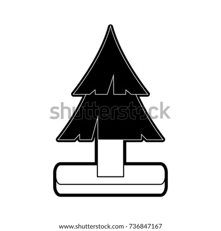 Tree pine isolated