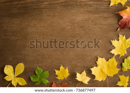 Welcome autumn. Greeting card or web background with maple and chestnuts leaves. Mock up for holiday post cards and seasonal offers as advertising or other ideas. Empty place for a text or object. 