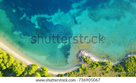 Aerial bird's eye view photo taken by drone of tropical seascape and sandy beach with turquoise clear waters and pine trees