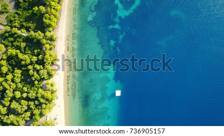 Aerial drone top down photo of tropical seascape and sandy beach with turquoise clear waters and pine trees