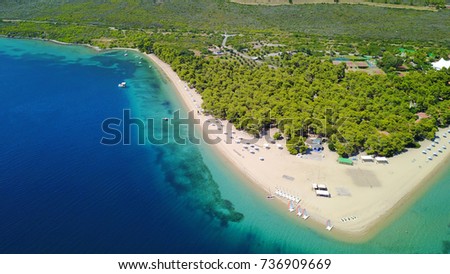 Aerial bird's eye view photo taken by drone of exotic seascape and sandy beach with turquoise clear waters and pine trees, Gregolimano, North Evoia island, Greece