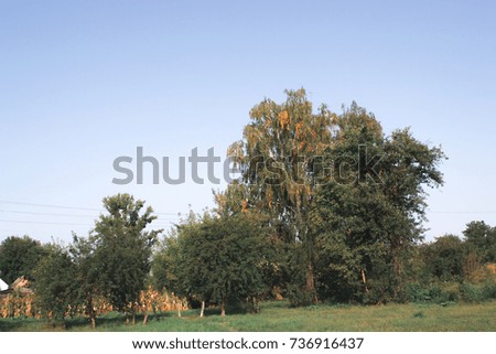 Autumn landscape on a sunny day outside the city