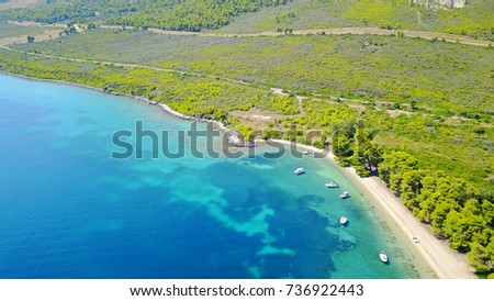 Aerial bird's eye view photo taken by drone of exotic seascape and sandy beach with turquoise clear waters and pine trees, Gregolimano, North Evoia island, Greece