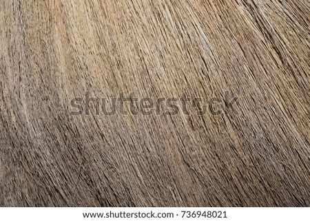 broom texture background