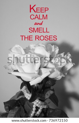 Inspiration quote on blurred roses bouquet background.