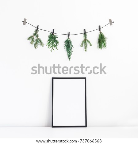 Christmas composition. Black frame and christmas tree branches on white background. Front view, mock up, copy space, square.