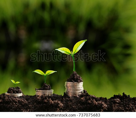 Grow in rain and sunlight can be symbol of saving money. The sunlight in the top right corner shading to the plants. light  green background. Three plant growing from money,coin,gold.