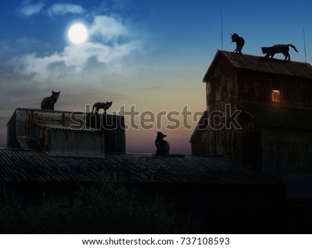 Many black cats on the roofs of old houses. Night, moon. The picture on the subject of Halloween