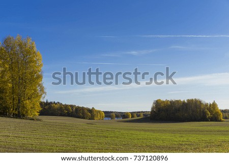 Katrineholm Sweden. Beautiful nature and landscape photo of colorful autumn day. Nice outdoors image. Calm, peaceful, joyful and happy picture.