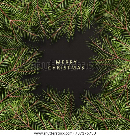 Merry Christmas- phrase. Christmas text on pine tree branches background. New Year promotion placard for shop. Calligraphy lettering text.
