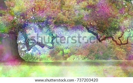 The Fairies Oak Tree - Big old oak with a long twisted branch and an ethereal light in the atmosphere showing a fantasy rainbow colored aura and copy space